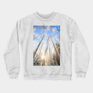 Winter forest Crewneck Sweatshirt